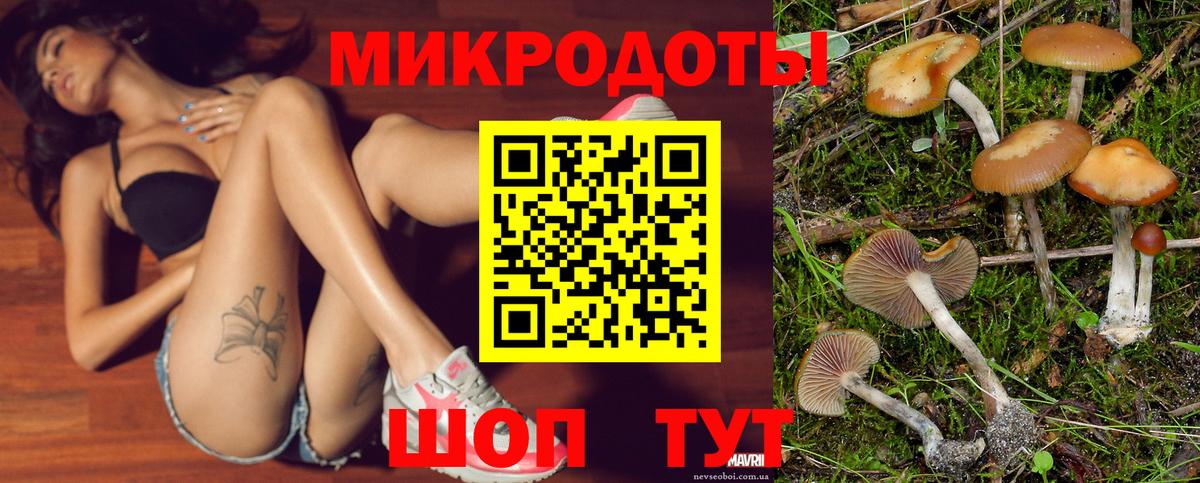 Псилоцибиновые грибы Cubensis Благодарный
