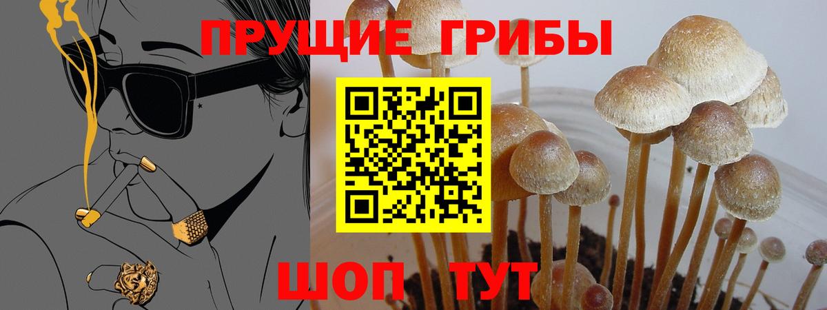 Псилоцибиновые грибы Magic Shrooms  Вход с VPN  что такое   Благодарный  Галлюциногенные грибы мицелий 